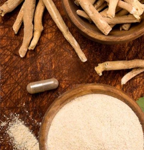 Ginseng indiano benefícios - ashwaganda o que é - Laura Oliveira